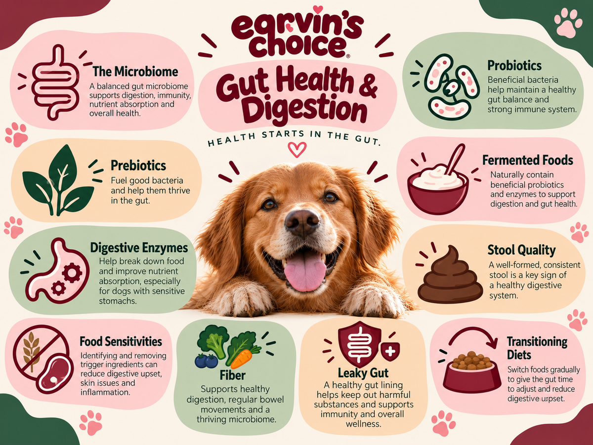 “Gut Health & Digestion” - Health starts in the gut