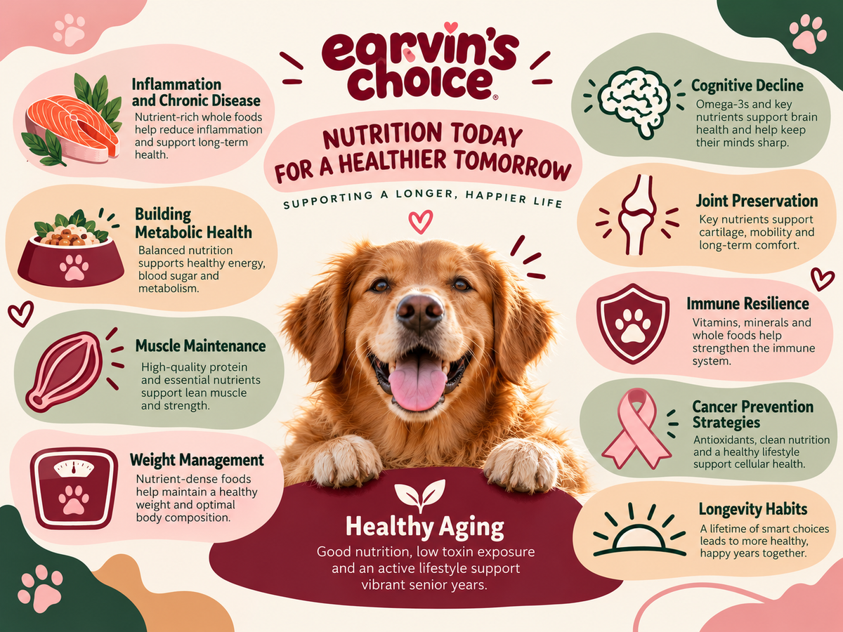 “Disease Prevention & Longevity”  Adding Healthy Years—Not Just Years