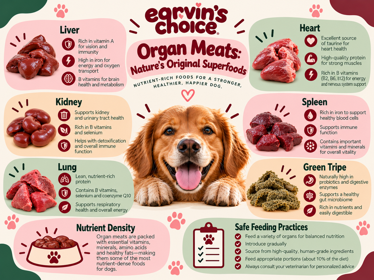 Organ Meats -Nature’s Original Superfoods