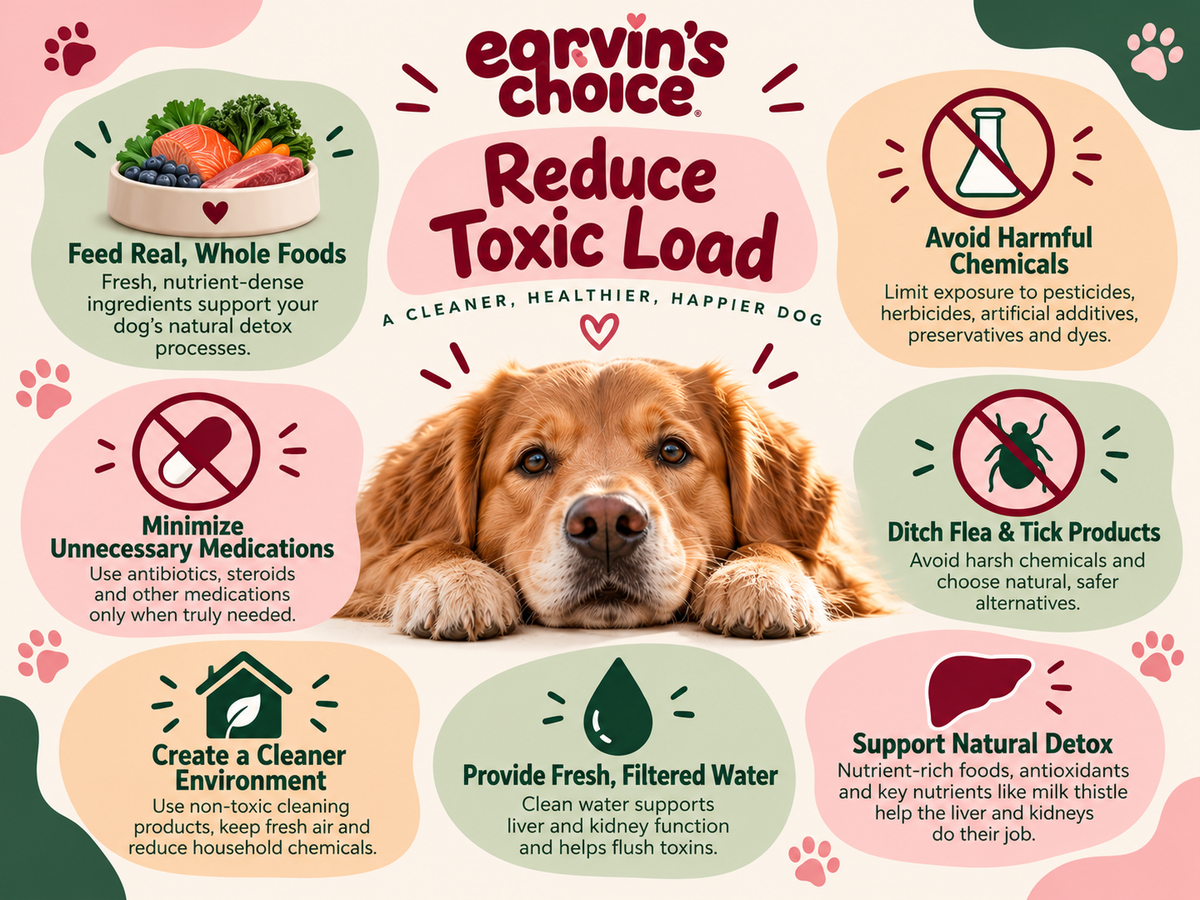 “Detox & Reducing Toxic Load” -Less Poison. More Health