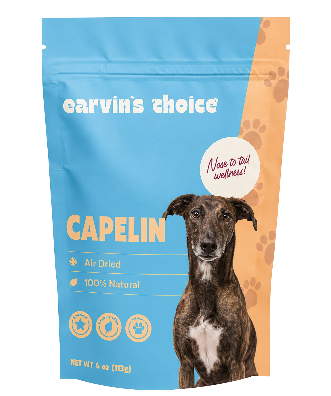 Capelin